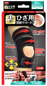 R Ђp֐߃T|[^[ M-LTCY ubN (1) GpT|[^[ jp Ep