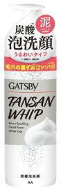 マンダム GATSBY ギャツビー マイクロスパークリング泡洗顔 ホワイトクレイ (200g) 炭酸泡洗顔 メンズ洗顔料