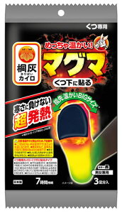 ѐ ˊDJC }O} ɓ\ (3) Cp ĝăJC