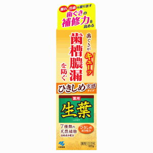 小林製薬 生葉 ひきしめ生葉Hc (100g) 歯周病予防歯みがき 薬用ハミガキ 【医薬部外品】