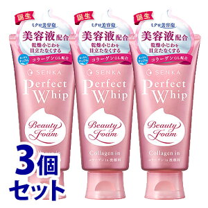 《セット販売》 ファイントゥデイ 洗顔専科 パーフェクトホイップ コラーゲン in a (120g)×3個セット 洗顔フォーム