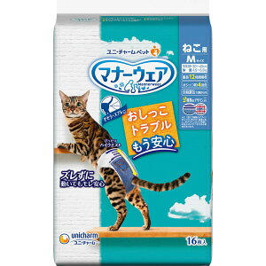 j`[ ybgPA }i[EFA ˂p MTCY (16) Lp ނ