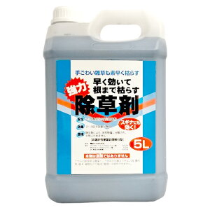 g\ č܂Ō͂炷 (5L) A~m_n