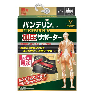 a oeR[ T|[^[ p Œ^Cv LLTCY 傫 ubN (1) p T|[^[ jp