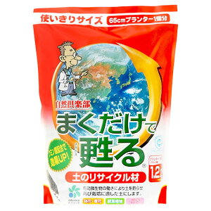RpȊw ܂S ỹTCN (1.2L) K[fjOpi