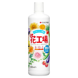 ZFw| ԍHꌴt (800mL) 엿 K[fjOpi