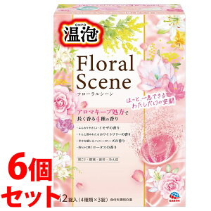 sZbg̔t@A[X A ONPO t[V[ 4×3 (12)×6Zbg ܁@y򕔊Oiz