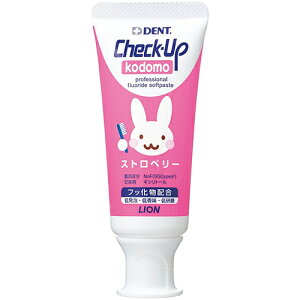 CI DENT `FbNAbvRh Xgx[ (60g) pn~KL qp@y򕔊Oiz