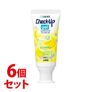 sZbg̔t@CI DENT `FbNAbv WF oii (60g)×6Zbg pn~KL@y򕔊Oiz