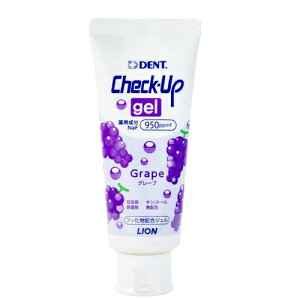 CI DENT `FbNAbv WF O[v (60g) pn~KL@y򕔊Oiz