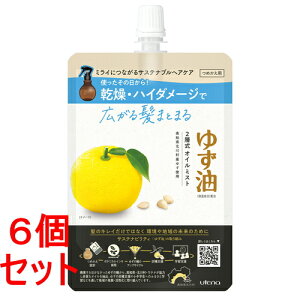sZbg̔t@Eei 䂸 IC~Xg ߂p (160mL)×6Zbg lߑւp wAIC~Xg