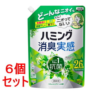 sZbg̔t ԉ n~OL@tbVO[̍@lߑւp (950mL)×6Zbg