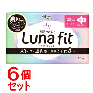 sZbg̔t 剤GXf̂itBbgH20R×6Zbg@ivL@@p