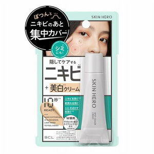 X^COCtBCLJpj XLq[[@pX|bgV[[N[@(10g)