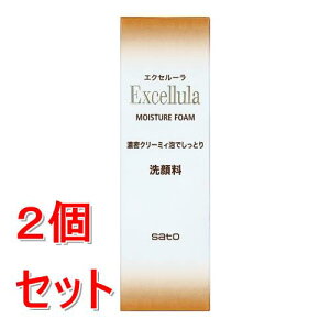 sZbg̔t  GNZ[@CX`AtH[@120g×2Zbg  ь   F q