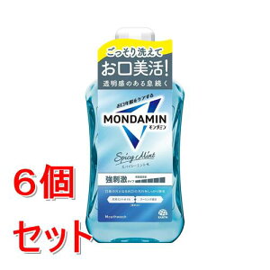 sZbg̔t A[X _~ XpCV[~g 1000mL×6Zbg