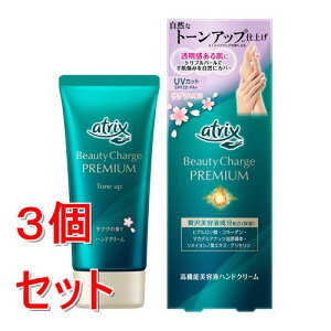 sZbg̔t ԉ AgbNX@r[eB[`[Wv~A@g[Abv@nhN[@(TN̍)×3Zbg ێ UVJbg SPF20EPA+