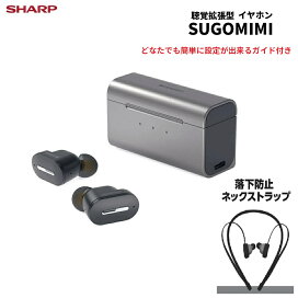 楽天市場】補聴器 Panasonic [WH-A27]用 コード イヤホン 