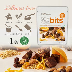 【公式】SOY Concept bits ソイコンセプト ビッツ ソイビッツ オレンジ ＆ カカオ 1袋 一口サイズ プロテイン タンパク質 おやつ プロテインバー ヴィーガン ビーガン 運動 エクササイズ ジム ヨガ 間食