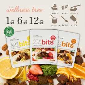 【公式】SOY Concept bits ソイコンセプト ビッツ ソイビッツ 一口サイズ プロテイン タンパク質 おやつ プロテインバー 無添加 オレンジ＆カカオ・ストロベリー＆抹茶・レモン＆ダージリン 1袋・6袋・12袋 各54g ヴィーガン ビーガン 運動 エクササイズ ジム ヨガ 間食 美容