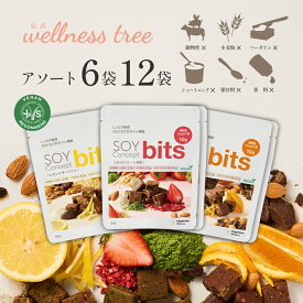 【公式】SOY Concept bits ソイコンセプト ビッツ ソイビッツ アソート 6袋(各2袋) 12袋(各4袋) 一口サイズ プロテイン タンパク質 おやつ プロテインバー オレンジ＆カカオ・ストロベリー＆抹茶・レモン＆ダージリン ヴィーガン ビーガン 運動 エクササイズ ジム ヨガ 間食