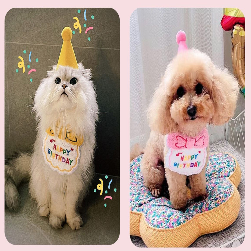 楽天市場】犬 猫 誕生日 ペット用スタイ 帽子 付き ドッグウェア 犬猫