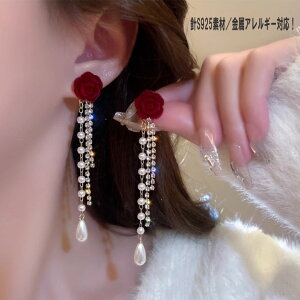 S925 sAX p[AM[Ή@ sAX CXg[ h p[ Vo[ l X^[OS[h fB[X  p[eB[ i t@[XgsAX ZJhsAX