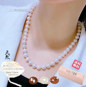p[ lbN XsAX@CO3_Zbg ^lbNX p[lbNX  Ǝ w   w tH[} CO p[eB[ Lp[ 8mm 10mm 45cm z