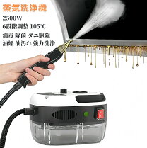 楽天市場】スチームクリーナー sc－1500 エコ・クリーンex 