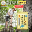北国の恵み 93粒 (約1ヶ月分)プロテオグリカン グルコサミン を超えるパワー※ ウェルヴィーナス 公式 北国の恵 2型コラーゲン ヒアルロン酸 サプリ サプリメント 鮭鼻 軟骨成分 配合 鮭軟骨 サケ軟骨 非変性ii型コラーゲン