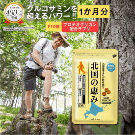 【P10倍】 北国の恵み 93粒 (約1ヶ月分) プロテオグリカン グルコサミン を超えるパワー※ ウェルヴィーナス 公式 北国の恵 2型コラーゲン ヒアルロン酸 サプリ サプリメント 鮭鼻 軟骨成分 配合 鮭軟骨 サケ軟骨 非変性ii型コラーゲン