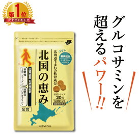 【楽天18冠】北国の恵み（約10日分） プロテオグリカン 2型コラーゲン ヒアルロン酸 配合 サプリ サプリメント グルコサミン コンドロイチン と好相性 鮭鼻 軟骨成分 配合 ふしぶしの違和感が気になる方に 鮭軟骨 サケ軟骨 非変性ii型コラーゲン 送料無料