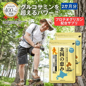 北国の恵み 93粒×2袋 (約2ヶ月分) プロテオグリカン グルコサミン を超えるパワー※ ウェルヴィーナス 公式 北国の恵 2型コラーゲン ヒアルロン酸 サプリ サプリメント 鮭鼻 軟骨成分 配合 鮭軟骨 サケ軟骨 非変性ii型コラーゲン