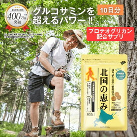 北国の恵み 30粒 (約10日分) プロテオグリカン グルコサミン を超えるパワー※ ウェルヴィーナス 公式 北国の恵 2型コラーゲン ヒアルロン酸 サプリ サプリメント 鮭鼻 軟骨成分 配合 鮭軟骨 サケ軟骨 非変性ii型コラーゲン