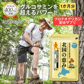 北国の恵み 93粒 (約1ヶ月分) プロテオグリカン グルコサミン ウェルヴィーナス 公式 北国の恵 2型コラーゲン ヒアルロン酸 サプリ サプリメント コンドロイチン 鮭鼻 軟骨成分 配合 鮭軟骨 サケ軟骨 非変性ii型コラーゲン