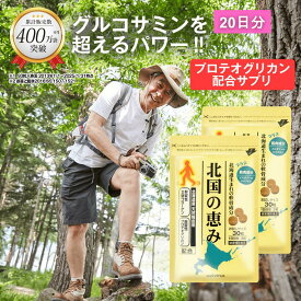 北国の恵み 30粒×2袋 (約20日分) プロテオグリカン グルコサミン を超えるパワー※ ウェルヴィーナス 公式 北国の恵 2型コラーゲン ヒアルロン酸 サプリ サプリメント 鮭鼻 軟骨成分 配合 鮭軟骨 サケ軟骨 非変性ii型コラーゲン
