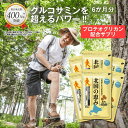 北国の恵み 93粒×6袋 (約6ヶ月分) プロテオグリカン グルコサミン を超えるパワー※ ウェルヴィーナス 公式 北国の恵 2型コラーゲン ヒアルロン酸 サプリ サプリメント 鮭鼻 軟骨成分 配合 鮭軟骨 サケ軟骨 非変性ii型コラーゲン