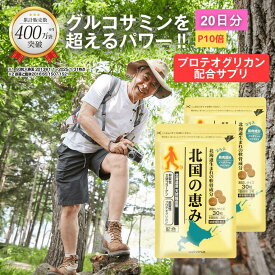 ＼P10倍／北国の恵み 30粒×2袋 (約20日分) プロテオグリカン グルコサミン を超えるパワー※ ウェルヴィーナス 公式 北国の恵 2型コラーゲン ヒアルロン酸 サプリ サプリメント 鮭鼻 軟骨成分 配合 鮭軟骨 サケ軟骨 非変性ii型コラーゲン