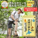 ＼P10倍／ 北国の恵み 93粒 (約1ヶ月分) プロテオグリカン グルコサミン ウェルヴィーナス 公式 北国の恵 2型コラーゲン ヒアルロン酸 サプリ サプリメント コンドロイチン 鮭鼻 軟骨成分 配合 鮭軟骨 サケ軟骨 非変性ii型コラーゲン