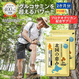 【P10倍】北国の恵み 93粒×2袋 (約2ヶ月分) プロテオグリカン グルコサミン を超えるパワー※ ウェルヴィーナス 公式 北国の恵 2型コラーゲン ヒアルロン酸 サプリ サプリメント 鮭鼻 軟骨成分 配合 鮭軟骨 サケ軟骨 非変性ii型コラーゲン
