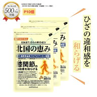 ＼P10倍／北国の恵み 93粒×3袋 (約3ヶ月分) プロテオグリカン グルコサミン を超えるパワー※ 膝 ウェル…