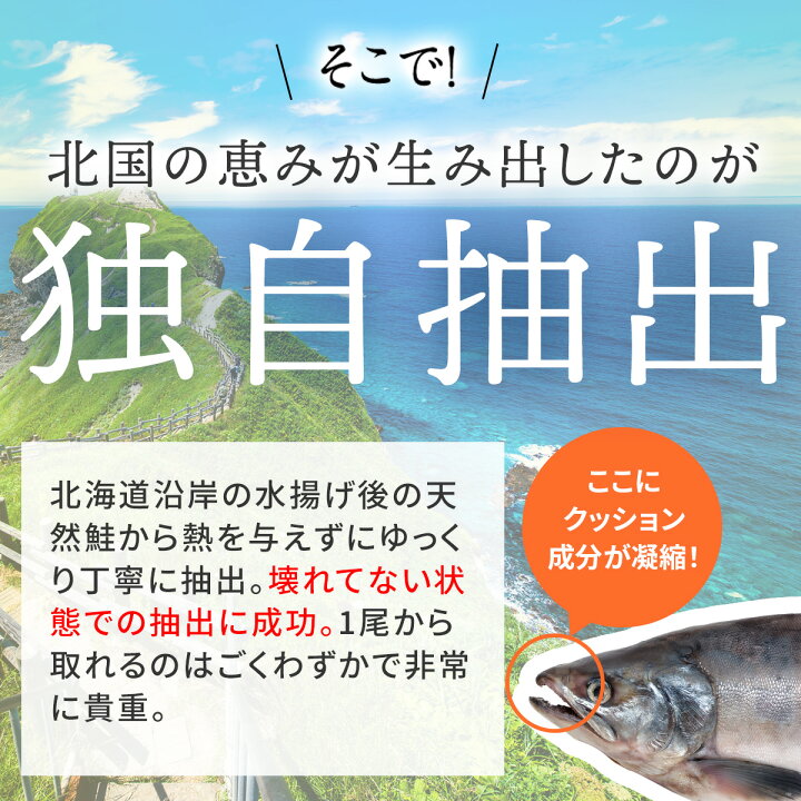 楽天市場】【楽天18冠 】 【2セットまとめ買いで10%OFFクーポン配布中 