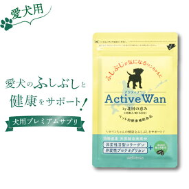 犬 関節 サプリメント 【 アクティブワン 45粒×1袋 】 緑イ貝 乳酸菌 2型コラーゲン プロテオグリカン モリンガ 国内製造 グルコサミン コンドロイチン を含む新軟骨成分『プロテオグリカン』配合 11の無添加 低カロリー おやつ 関節 免疫 健康 フード