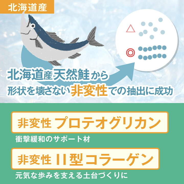 楽天市場】犬用 サプリ【 アクティブワン 45粒×6袋 】 低カロリー 5つの自然由来成分 『緑イ貝 乳酸菌 2型コラーゲン プロテオグリカン モリンガ』 国内製造 グルコサミン、コンドロイチンを含む新軟骨成分『プロテオグリカン』配合 11の無添加 : ウェルヴィーナス楽天市場店 楽天市場】犬用 サプリ【 アクティブワン 45粒×6袋 】 低カロリー 5つの自然由来成分 『緑イ貝 乳酸菌 2型コラーゲン プロテオグリカン モリンガ』 国内製造 グルコサミン、コンドロイチンを含む新軟骨成分『プロテオグリカン』配合 11の無添加 : ウェルヴィーナス楽天市場店