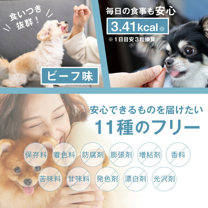 楽天市場】犬用 サプリ【 アクティブワン 45粒×6袋 】 低カロリー 5つの自然由来成分 『緑イ貝 乳酸菌 2型コラーゲン プロテオグリカン モリンガ』 国内製造 グルコサミン、コンドロイチンを含む新軟骨成分『プロテオグリカン』配合 11の無添加 : ウェルヴィーナス楽天市場店 楽天市場】犬用 サプリ【 アクティブワン 45粒×6袋 】 低カロリー 5つの自然由来成分 『緑イ貝 乳酸菌 2型コラーゲン プロテオグリカン モリンガ』 国内製造 グルコサミン、コンドロイチンを含む新軟骨成分『プロテオグリカン』配合 11の無添加 : ウェルヴィーナス楽天市場店