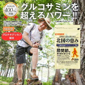北国の恵み 30粒 (約10日分) プロテオグリカン グルコサミン を超えるパワー※ 膝 ウェルヴィーナス 公式 北国の恵 2型コラーゲン サプリ サプリメント 機能性表示食品