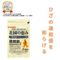 北国の恵み 93粒×1袋 (約1ヶ月分) プロテオグリカン グルコサミン を超えるパワー※ 膝 ウェルヴィーナ…