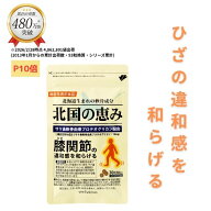 【P10倍】 【先着100世帯】【1世帯1袋限り】【重複注文不可】北国の恵み 30粒 (約10日分) プロテオグリカ…