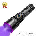 【7月15日限定P5倍】ブラックライト 365nm 強力 30W アニサキスライト USB充電式 紫外線ライト レジン硬化用 電量指示…