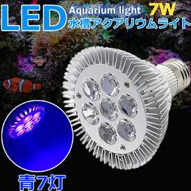 楽天市場 Led スポットライト 熱帯魚 アクアリウム ペット ペットグッズ の通販